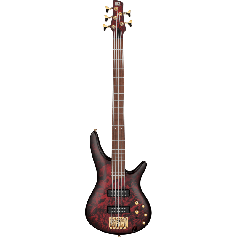 IBANEZ SR305EDXWZM Wine Red Frozen Matte basse electrique 5 cordes