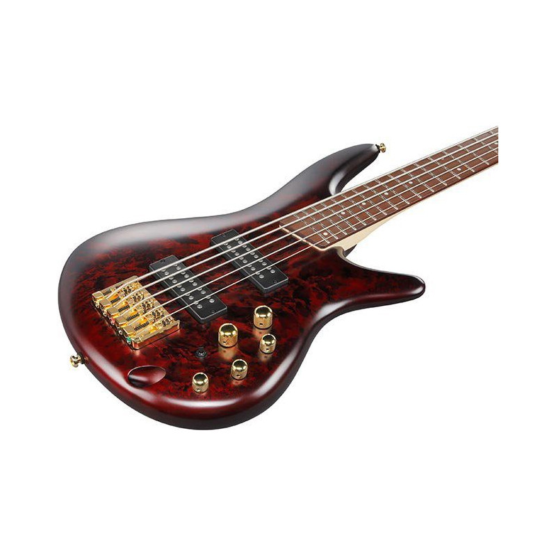 IBANEZ SR305EDXWZM Wine Red Frozen Matte basse electrique 5 cordes