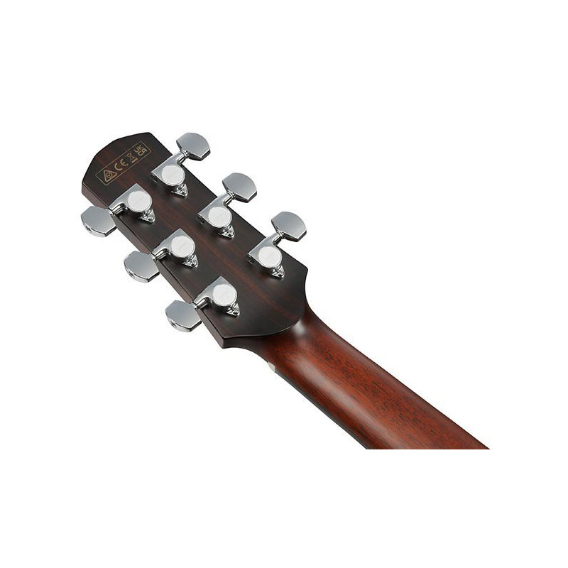 IBANEZ AAM780ENT Natural High Gloss Guitare electrique avec valise