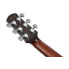 IBANEZ AAM780ENT Natural High Gloss Guitare electrique avec valise