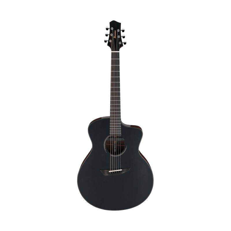IBANEZ JGM10BSN Black Satin top, Natural High Gloss back and sides Guitare electrique avec valise