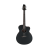 IBANEZ JGM10BSN Black Satin top, Natural High Gloss back and sides Guitare electrique avec valise
