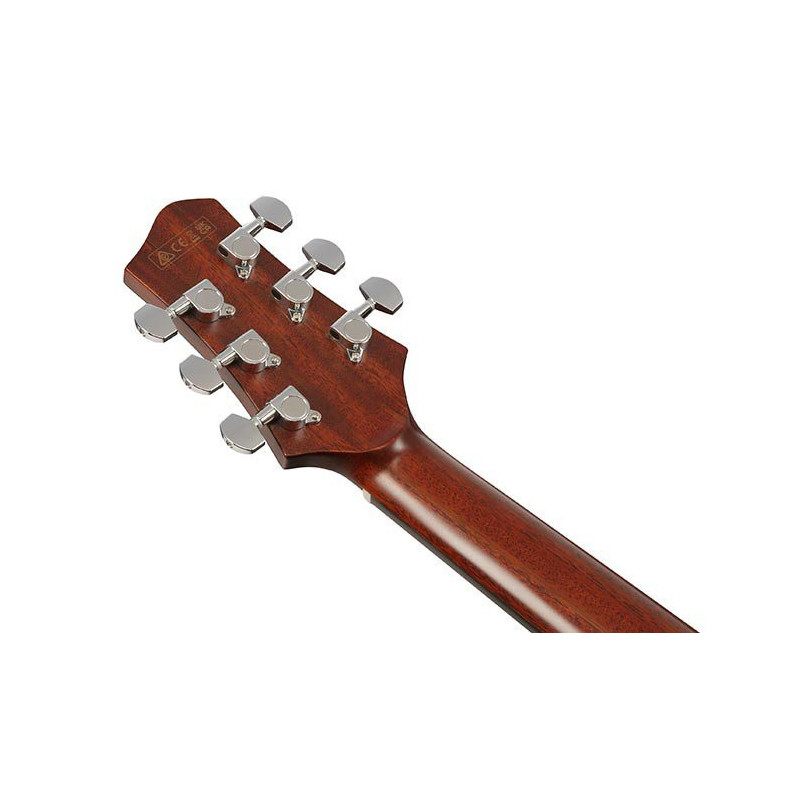 IBANEZ JGM10BSN Black Satin top, Natural High Gloss back and sides Guitare electrique avec valise