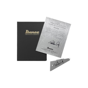 IBANEZ PS1CM Guitare electrique avec valise