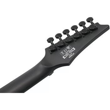 IBANEZ XPTB620BKF Black Flat Guitare electrique avec housse