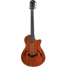 TAYLOR T5z Classic Hawaiian Koa Top Shaded Edgeburst