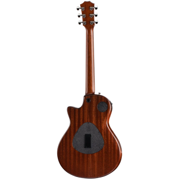 TAYLOR T5z Classic Hawaiian Koa Top Shaded Edgeburst