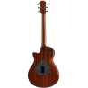 TAYLOR T5z Classic Hawaiian Koa Top Shaded Edgeburst