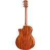TAYLOR 514ce Next Generation Cedar Mahogany