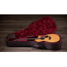 TAYLOR 214ce Plus