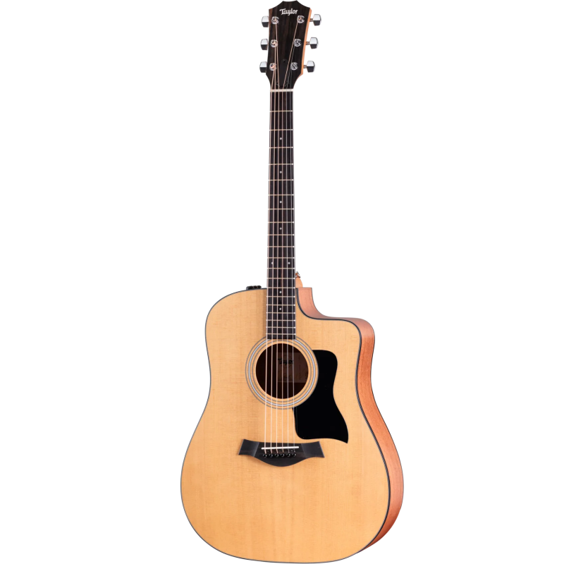 TAYLOR 110ce