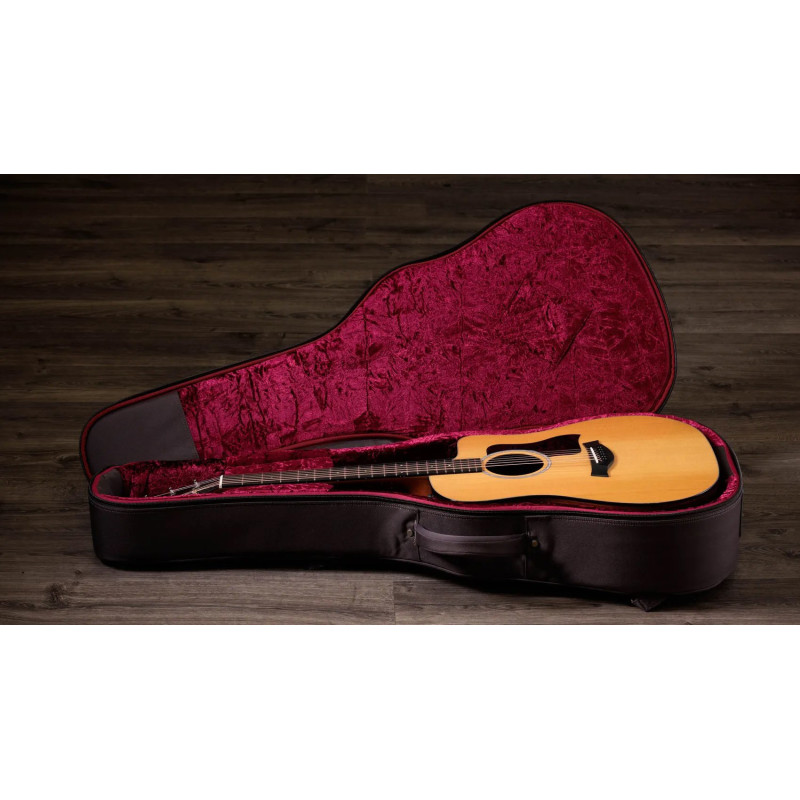 TAYLOR 210ce Plus