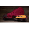 TAYLOR 210ce Plus