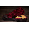 TAYLOR 212ce Plus
