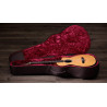 TAYLOR 212ce-N Plus