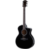 TAYLOR 214ce-BLK Plus