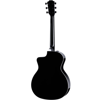 TAYLOR 214ce-BLK Plus