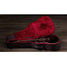 TAYLOR 214ce-BLK Plus