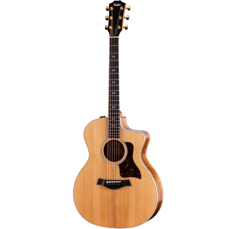 TAYLOR 214ce-K DLX