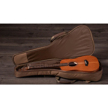 TAYLOR BT2