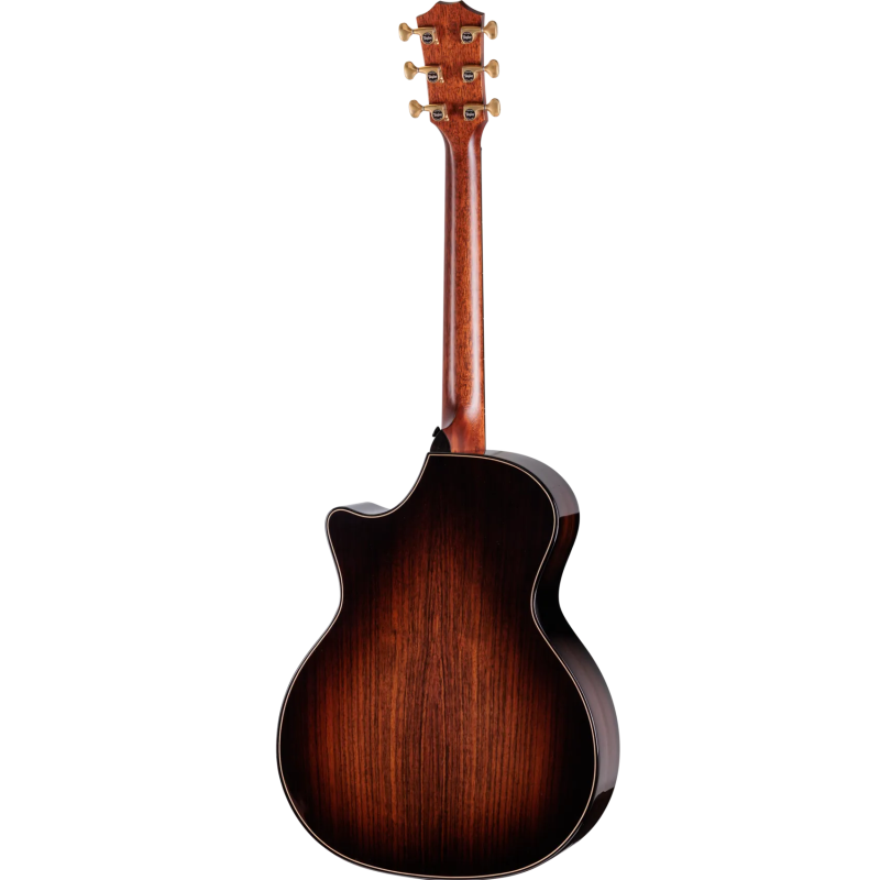 TAYLOR Builder's Edition 814ce Next Generation Indian Rosewood Adirondack Blacktop