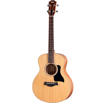 TAYLOR GS Mini-e Bass