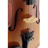 STAGG VN-3/4 violon 3/4 en érable massif avec étui semi-rigide