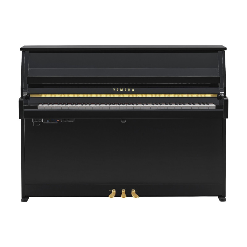 YAMAHA B10 TC3 PE