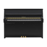YAMAHA B10 TC3 PE