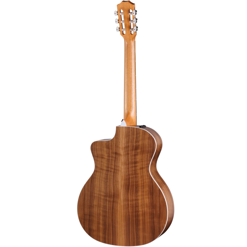 TAYLOR 214ce-N