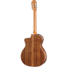 TAYLOR 214ce-N