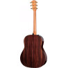 TAYLOR 217e-SB Plus LTD,50th Anniversary