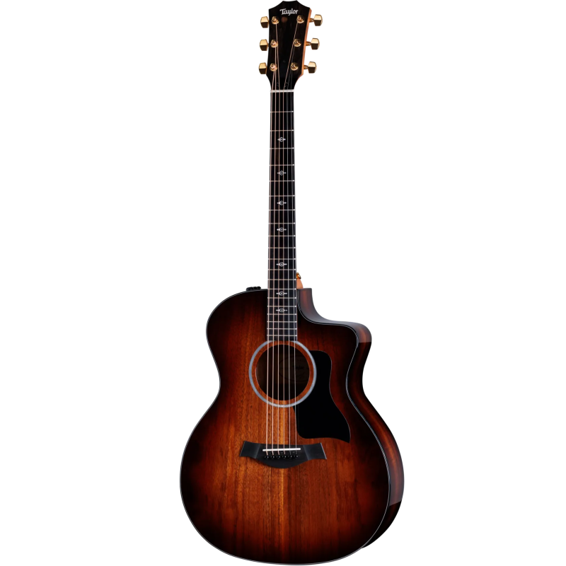 TAYLOR 224ce-K DLX