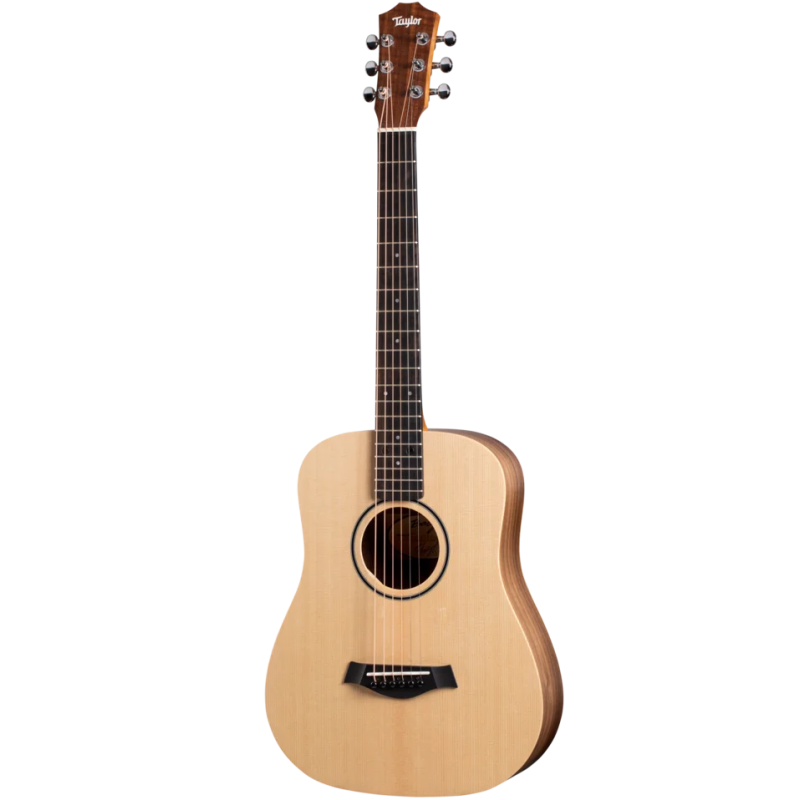 TAYLOR BT1