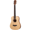 TAYLOR BT1