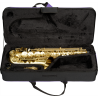 SML PARIS A420-II-BM saxophone alto étude brossé verni a420-ii-bm