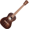MARTIN T1-STREET ukulélé t1 streetmaster uke