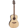 TAKAMINE GY93NAT gy93-nat natural