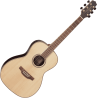 TAKAMINE GY93NAT gy93-nat natural