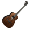 LAG SAUVAGE-TE guitare acoustique sauvage travel électro