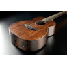 LAG SAUVAGE-TE guitare acoustique sauvage travel électro