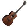LAG SAUVAGE-PE guitare acoustique sauvage parlor électro