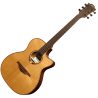LAG T118ACE auditorium cutaway electro
