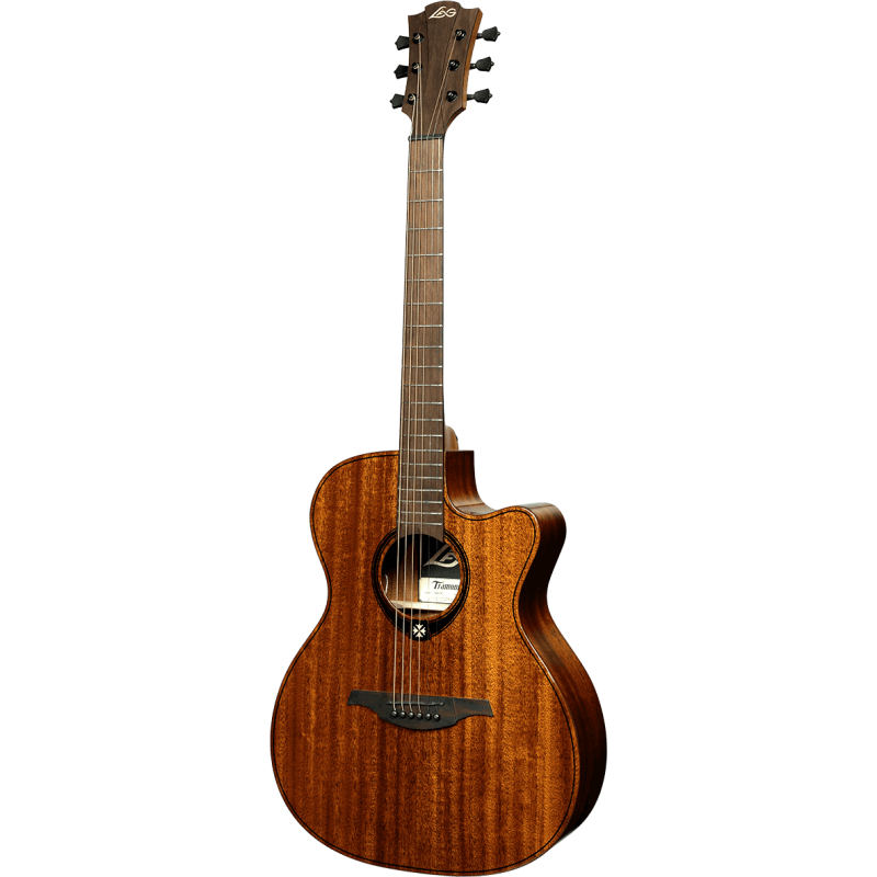 LAG T98ACE auditorium cutaway electro