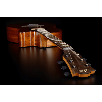 LAG T98ACE auditorium cutaway electro