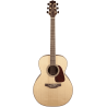TAKAMINE GN93NAT gn93-nat natural