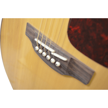 TAKAMINE GN93NAT gn93-nat natural
