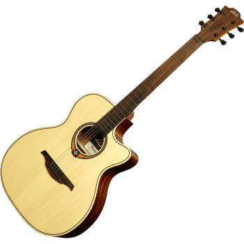 LAG T88ACE auditorium cutaway electro