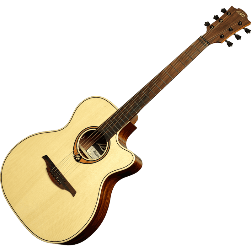 LAG T88ACE auditorium cutaway electro