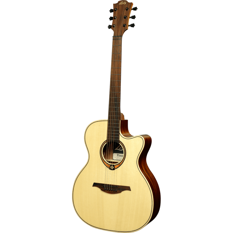 LAG T88ACE auditorium cutaway electro
